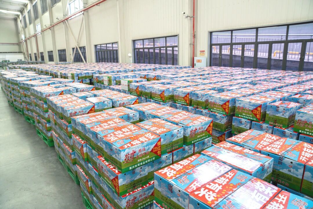 【品牌资讯】重新定义高端牛油新标准——深度揭秘牧哥全国首条动物油脂智能生产线
